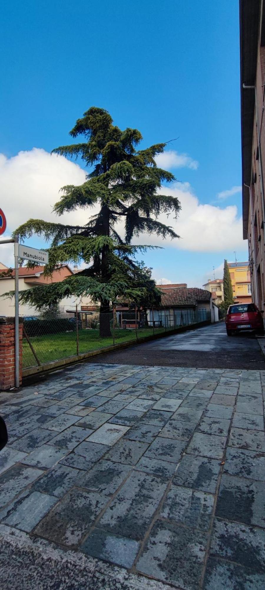 La Porta Verde 8 Collecchio Esterno foto